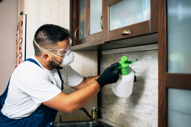 Best Bed Bug Extermination  in Shepherd, TX