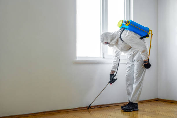 Pest Control for Restaurants in Shepherd, TX