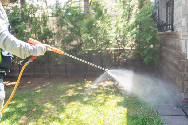 Best Cockroach Control Services  in Shepherd, TX