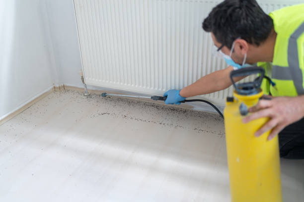 Best Emergency Pest Control  in Shepherd, TX
